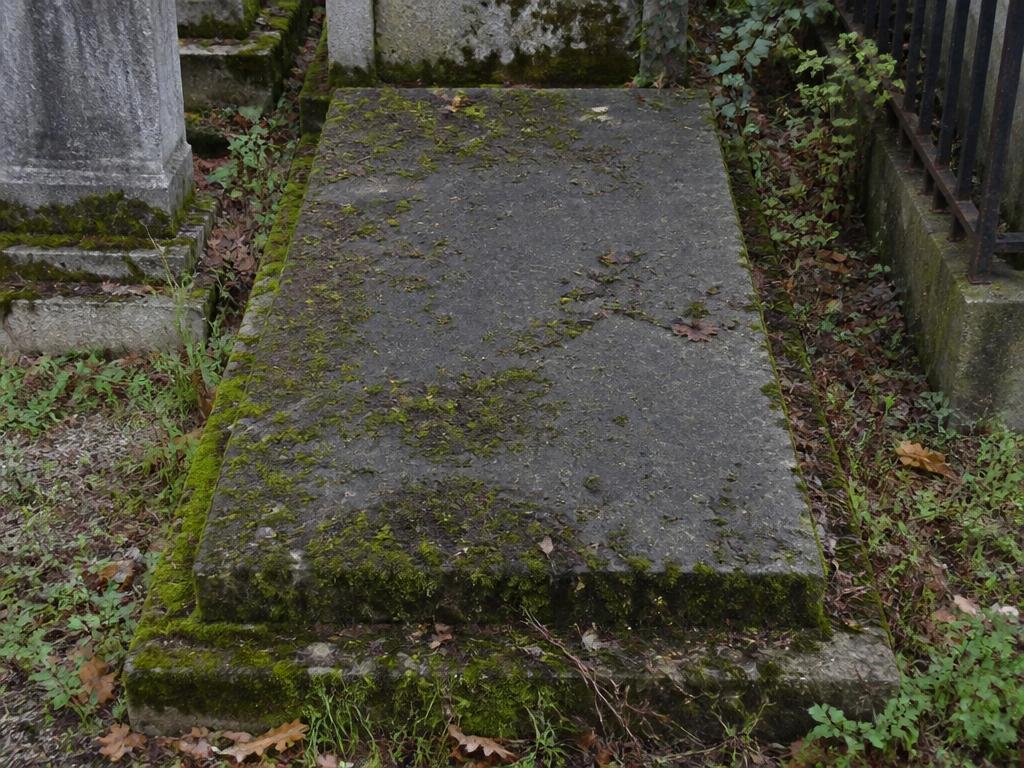 Sépulture avant entretien : Démoussage d'une pierre tombale